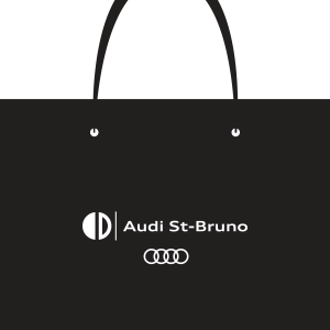 Sac de papier 17 x 6 x 4